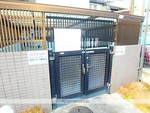 グレイシィーK・Yのその他写真