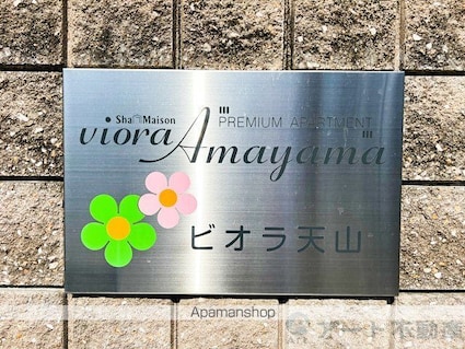 ビオラ天山[1LDK/44.45m2]のエントランス3