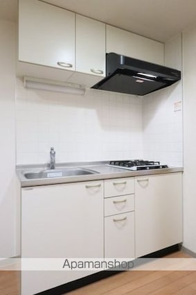 ロングウッドヒル中井[1K/22.2m2]のキッチン4