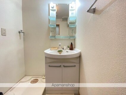 パラディー森塚[1R/33.34m2]の洗面所