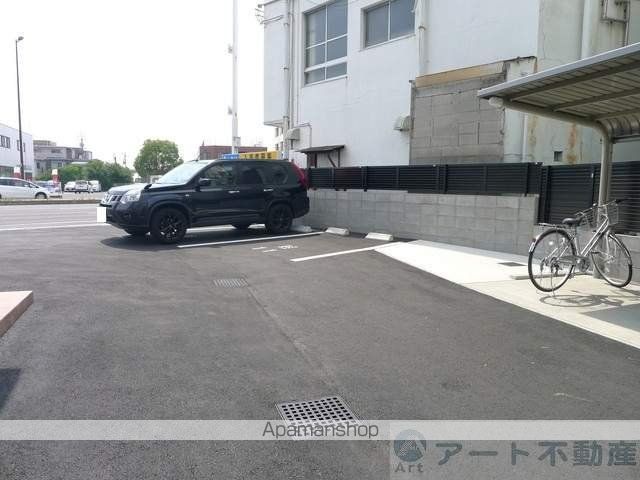 サザンステラのその他写真