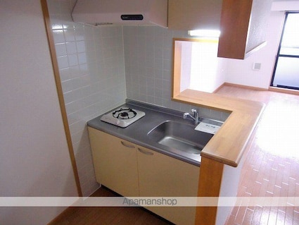 グラン・リーオ[1K/30.98m2]のキッチン