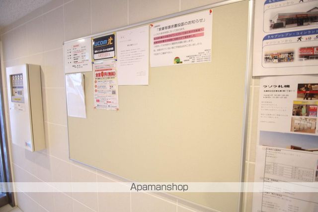 セントポーリアエールのその他写真