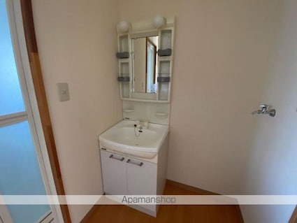 蓮池アパート[1K/33.15m2]の洗面所