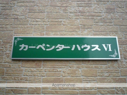 カーペンターハウスⅥ[1K/26.91m2]のエントランス1