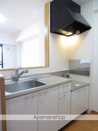 メゾンド﨔[1R/31.01m2]のキッチン