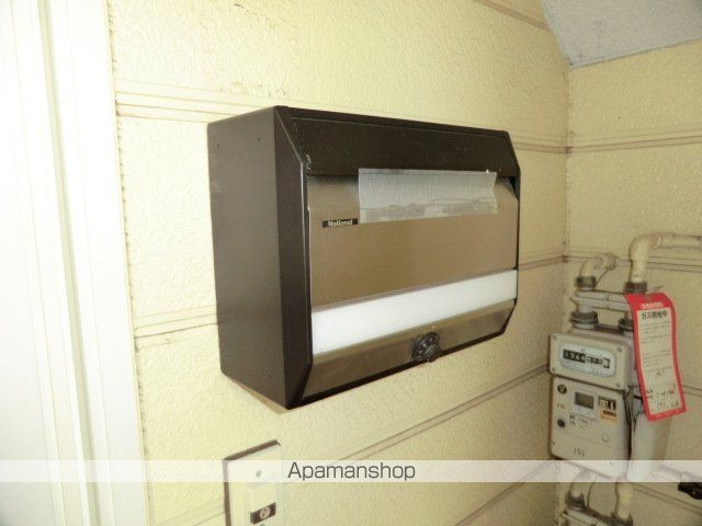 ΑNEXTウールーのその他写真