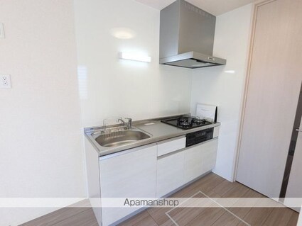 プレミストＶＩ[1R/30.33m2]のキッチン