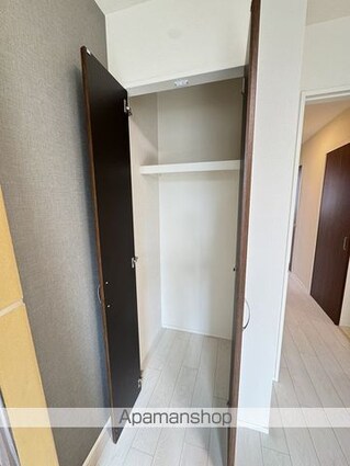 グランプラム本町（ＧｒａｎＰｌｕｍ本町）[1LDK/42.06m2]の収納