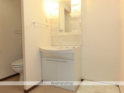 ラゾプレイス己斐[1K/33.98m2]の洗面所