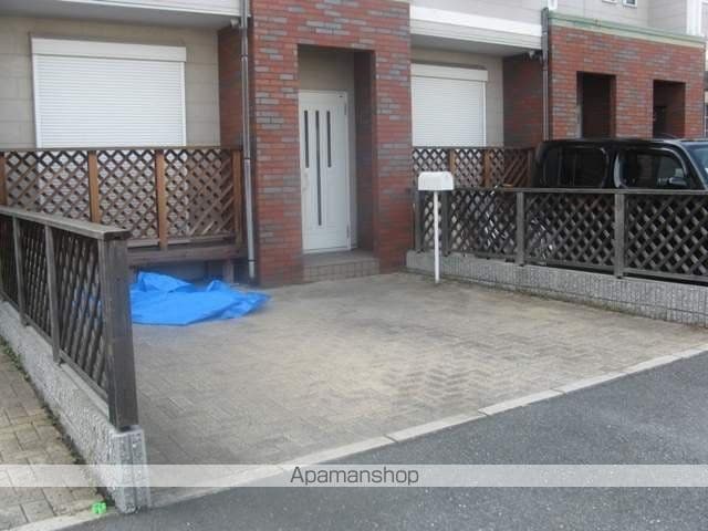 ジィプソフィラのその他写真