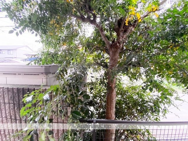ソレイユ Aのその他写真