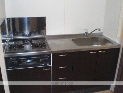 レオネクストネオ　レグルス[1K/30.84m2]のキッチン