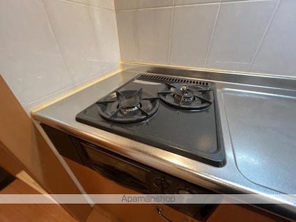 イーストリバー[1K/29.75m2]の内装9