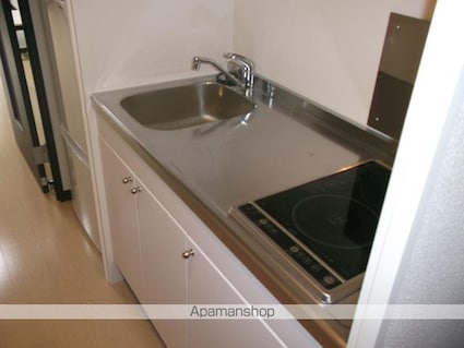 レオネクストオレンジハウス[1K/28.13m2]のキッチン2