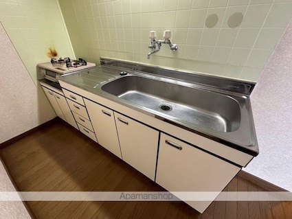 スターハイツ　スバル[1LDK/40.49m2]のキッチン