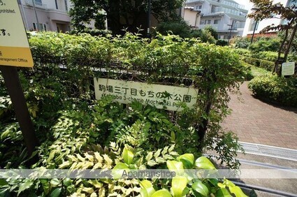 東京都目黒区駒場１丁目[1K/18m2]の周辺8