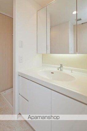 ユニゾンタワー[1LDK/52.75m2]の洗面所