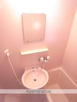 ドミール犬目[1R/23m2]の洗面所