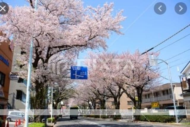 レオパレスTAURUSの周辺写真