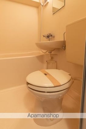 メゾン・プレジール[1K/19.65m2]のトイレ