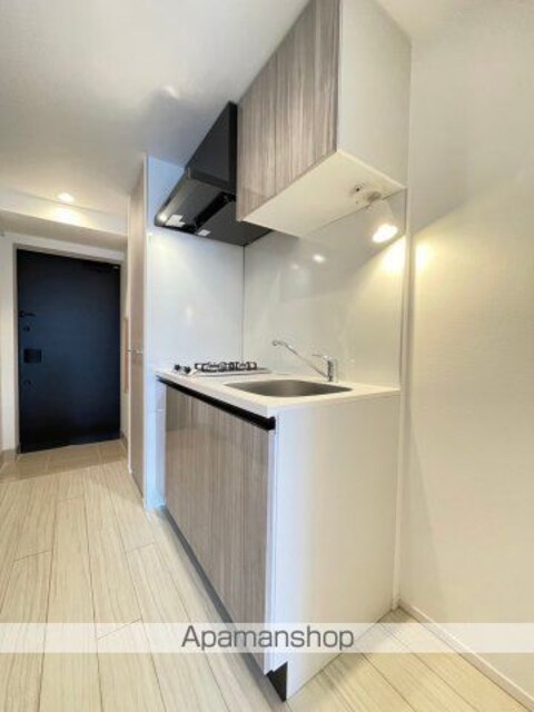 ＤＩＰＳ野方ＲＥＳＩＤＥＮＣＥ[1K/28.22m2]のキッチン