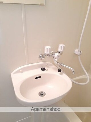 シティハイツ　クリスタル[3DK/45.14m2]の洗面所