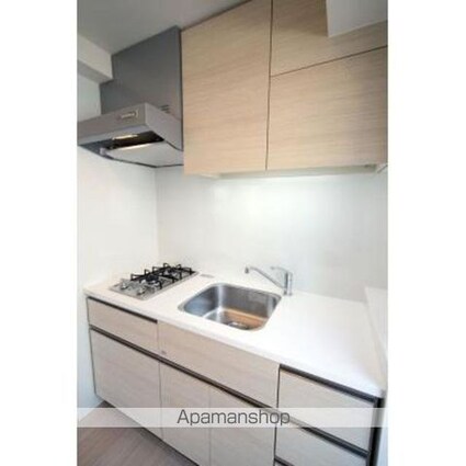 パークアクシス自由が丘テラス[1R/30.04m2]のキッチン