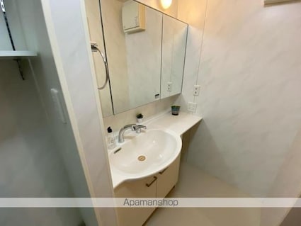 ヴァンヴェール[1LDK/54.19m2]の洗面所