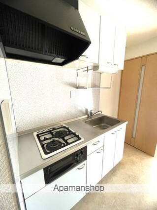広島県広島市中区南竹屋町[1K/29.89m2]のキッチン
