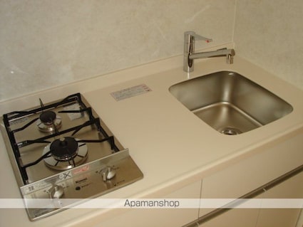 レジディア文京本駒込[1K/29.16m2]のキッチン2