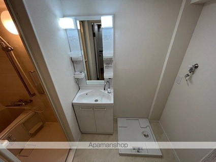 アルファニシモト[1K/31.39m2]の洗面所