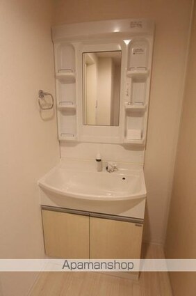 グラン　フェリシア　Ⅱ　[2LDK/50.45m2]の洗面所