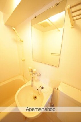 Ｌｉｆｅｉｎ聖蹟[1R/19.74m2]の洗面所