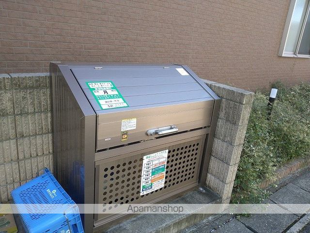 ミランダデアメルツのその他写真