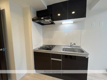 ピーニャ市川[1LDK/33.15m2]のキッチン