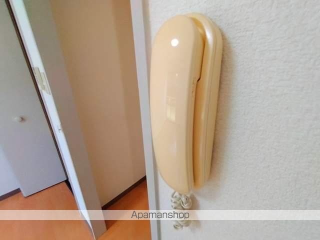 南国スターブルのその他写真