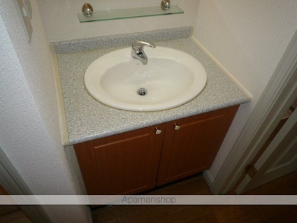 滋賀県守山市守山４丁目[2DK/51.15m2]の洗面所