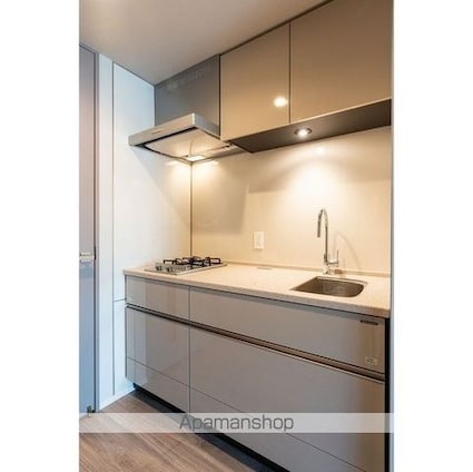 Ｔｈｅ　ｇｌｏｗ　Ｍｉｔａ[1DK/29.02m2]のキッチン