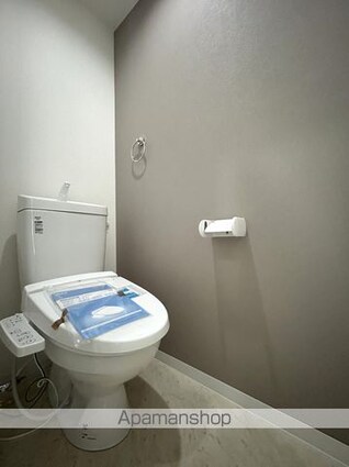 Ｌｅｃｌｅｒｃ　ＩｚｕｍｉｓａｎｏⅡ[2LDK/41.43m2]のトイレ