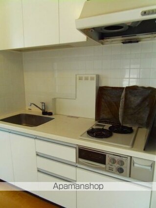 東京都新宿区市谷本村町[1DK/30.09m2]のキッチン