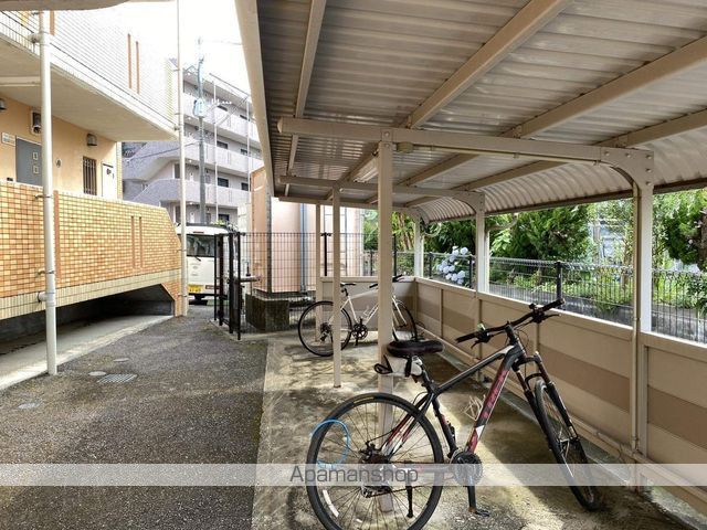 クローバーのその他写真