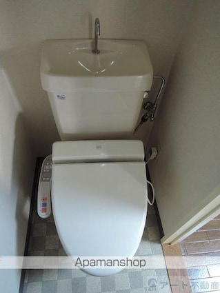 アップルリング[2DK/38.34m2]のトイレ