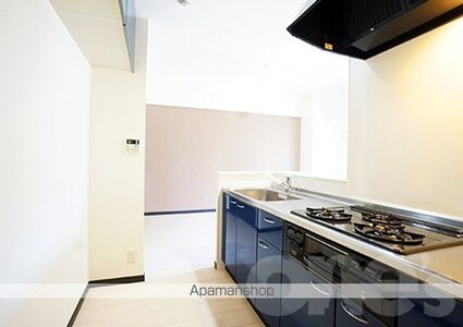 ブリス[1LDK/51.35m2]のキッチン