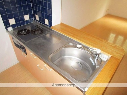 徳島県徳島市南佐古二番町[1LDK/52.06m2]のキッチン