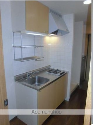 エスエスハイツ市川[1K/28.39m2]のキッチン