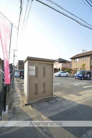 アルファのその他写真