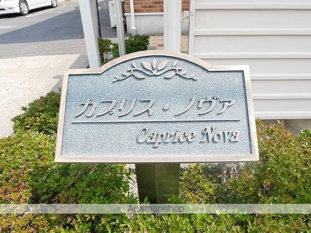 カプリス・ノヴァBのその他写真