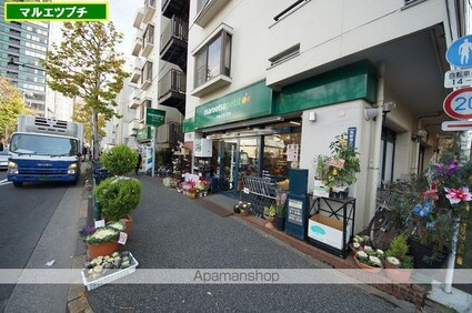 プロシード西新宿（旧スペーシア西新宿）[1LDK/45.36m2]の共用部7