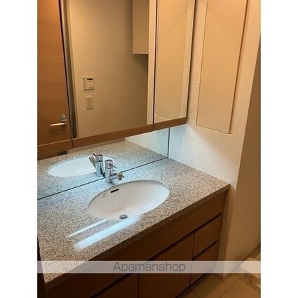 ミッドガーデン赤坂氷川[2LDK/73.11m2]の洗面所